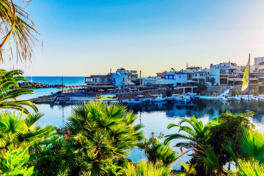 Greece, Crete, Sissi, Marina of coastal village with palm trees in foreground