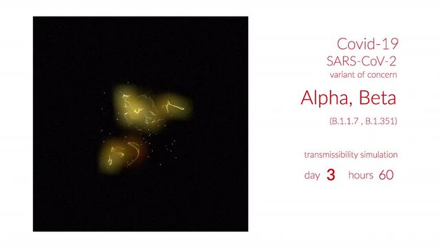 Transmission simulation Alpha and Beta Covid variant of concern, white background.