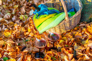 A cozy orange autumn picnic in the park, a warm autumn evening.Basket with a blanket, wine and glasses on golden orange autumn leaves.