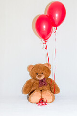 Nice teddy bear holds the inflatable red balloons. Valentines day concept.White studio wall.