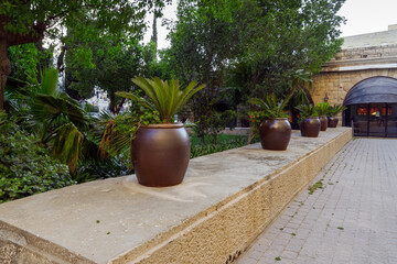 Large cadds with palm trees growing in them stand in the courtyard of the hotel King David in the...