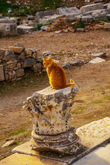 EPHESUS, TURKEY: Ruins on the street of the ancient city of Ephesus.