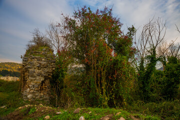 Obraz premium EPHESUS, TURKEY: Ruins of the ancient city of Ephesus in the Turkish city of Selcuk, Izmir province.