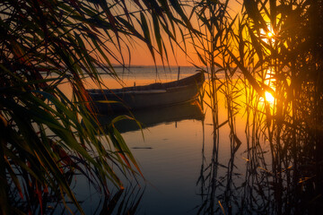 Summer morning on a lake in Danube Delta in Romania