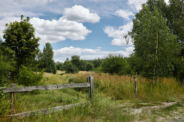 Fototapeta premium Old wooden fence against a blue sky on a sunny day. Beautiful landscape of a row of trees and blue sky background