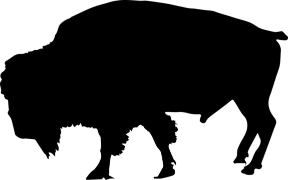 Bison Silhouettes SVG Bison Clipart