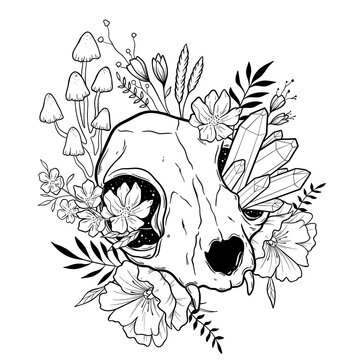 recommend clip art: bullskull and mushrooms sketch vector illustration. Hand drawn image.