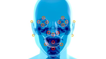 Abstract xray art of the brain and facial recognition