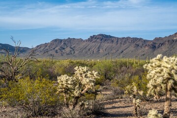 A beautiful overlooking view of nature in Tucson, Arizona