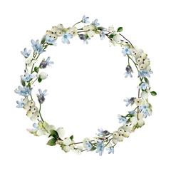 Watercolor floral wreath with white berries and delicate blue flowers. Hand-drawn winter frame template isolated on white background for wedding invitations, cards, and logo