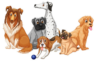 Obraz premium Group of dog breeds on white background