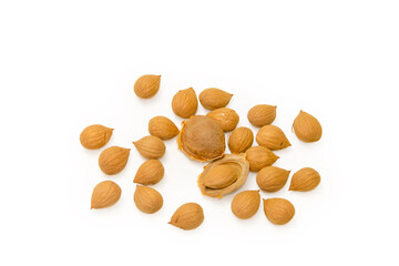 Apricot stones and shelled apricot kernels on a white background