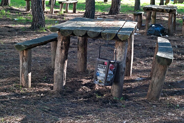 garbage in a pine forest left to witness human stupidity
