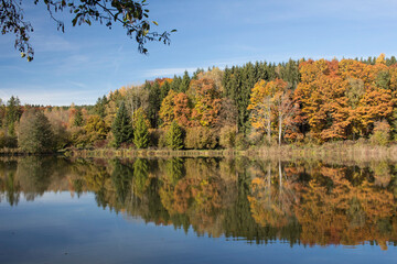 Herbstlandschaft am See
