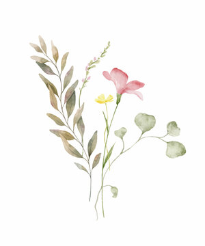 Watercolor vector bouquet of green branches and meadow flowers.