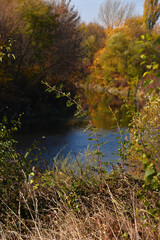 Autumn colorful nature landscape