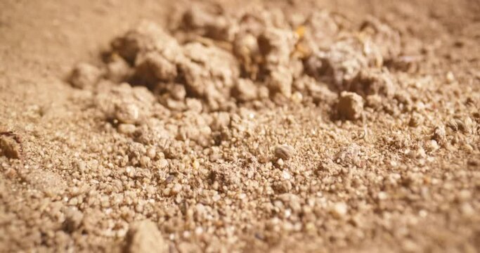 Soil stirring up while earthquake