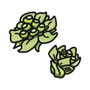 ふきのとう Images Browse 1 473 Stock Photos Vectors And Video Adobe Stock ふきのとう Images Browse 1 473 Stock Photos Vectors And Video Adobe Stock