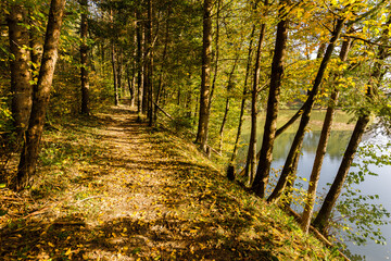 Autumn colors fishing pond hiking path, Slovenia