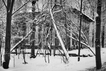 A dilapidated old house in a winter old park among snow-covered trees