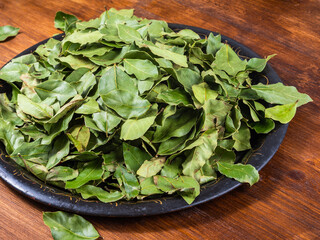 Home-dried bay leaves tray for home cooking.