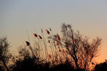 &agrave; la lumi&egrave;re bleue