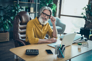 Portrait of trendy handsome cheery gray-haired man top economist preparing budget report at work place station indoors