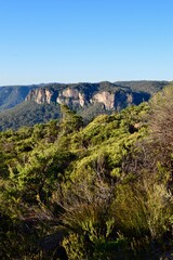 A view from Walls Ledge on the Upper Shipley Plateau at Blackheath in the Blue Mountains of Australia