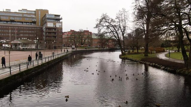 Ducks swimming river near beautiful Swedish town, aerial low altitude shot