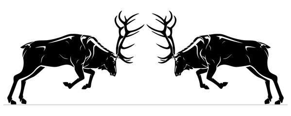 Elk Silhouette, Fighting for Dominance