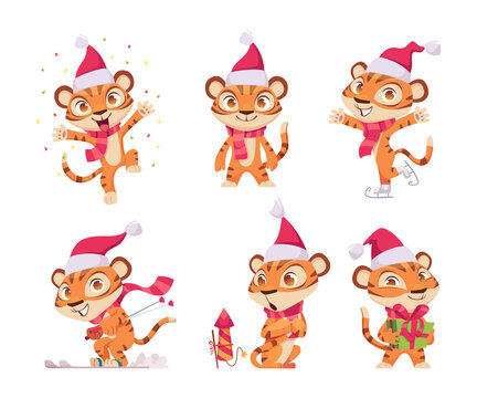 New year tiger. Wild cute animal in action poses tiger in red winter celebration santa cap exact vector 2022 yer promotional character