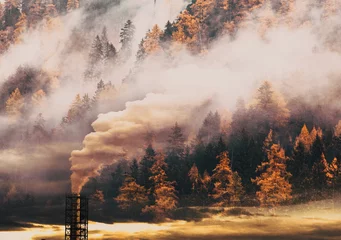 Zelfklevend Fotobehang factory smoke and forest save the earth © Melinda Nagy