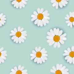 Seamless pattern, background decorated with yellow white daisy chamomile flowers