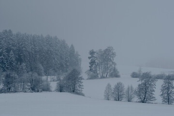 Winternebel