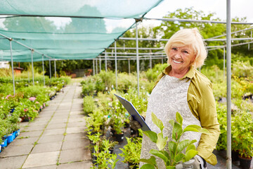 Senior Frau als Gärtnerin im Gartenbau Betrieb