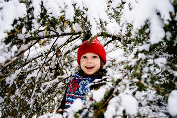 Smiling child with surprise emotion on his face in snow-capped fir tree.