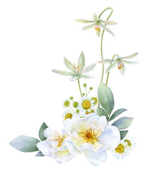 A bouquet of white roses, chamomile, flowers and green leaves hand drawn in watercolor isolated on a white background. Watercolor floral illustration.