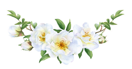 Fototapeta premium Floral garland of the white wild roses, buds and leaves hand drawn in watercolor isolated on a white background. Botanical illustration.