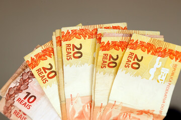 brazil money - ten and twenty reais bills