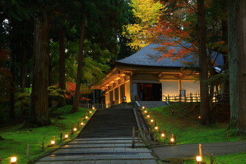 Obraz premium 世界遺産 岩手県平泉町 中尊寺 紅葉のライトアップ