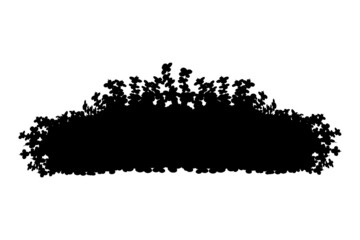 Set of monochrome silhouette of shrubs and trees. Decorative design element in black and white colors.Horizontal panorama with thicket of  garden plants.