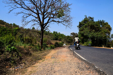 Fototapeta premium Back view of 20 to 30 year old young Indian boy riding bike on empty asphalt road surrounded by green trees in the countryside area. Picture captured under bright sunlight at Kolhapur, Maharashtra.