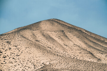 Sandy hills with dry plants