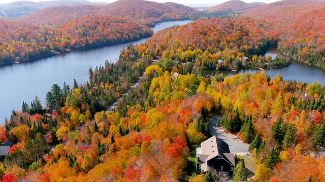 Aerial panoramic view of fall season foliage colors and secluded lake houses.