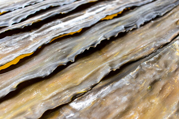 日本の北海道産昆布