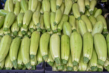 Fresh zucchini for sale at vegetable market, close up. Boxes full of zucchini in shop. Organic zucchini at the greengrocer's stall. Vegetable.
