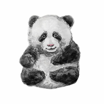 Panda watercolor vector