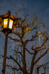 日本の古き風景
