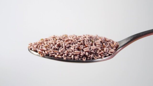 Psyllium seeds in spoon on a white background. Falling dry grains in slow motion. Macro. Ispaghula seed. Herbal super food