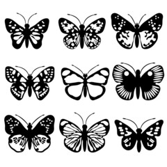Obraz na płótnie Canvas collection of butterflies svg vector illustration
